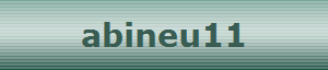 abineu11